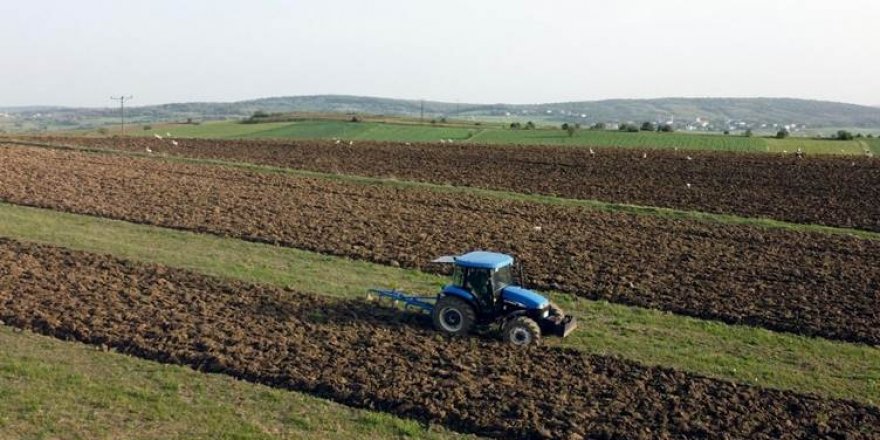 Li Tirkiyê cotkar serê dekarek genim 350 lîre zerar dikin