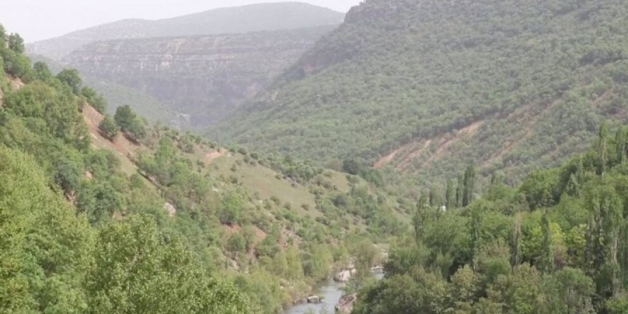 ‘Awbendê Sîlvanî do cuya gandaran çin bikero’