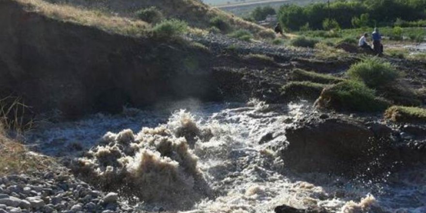 Li Êlihê 120 ton genim ber avê ketin