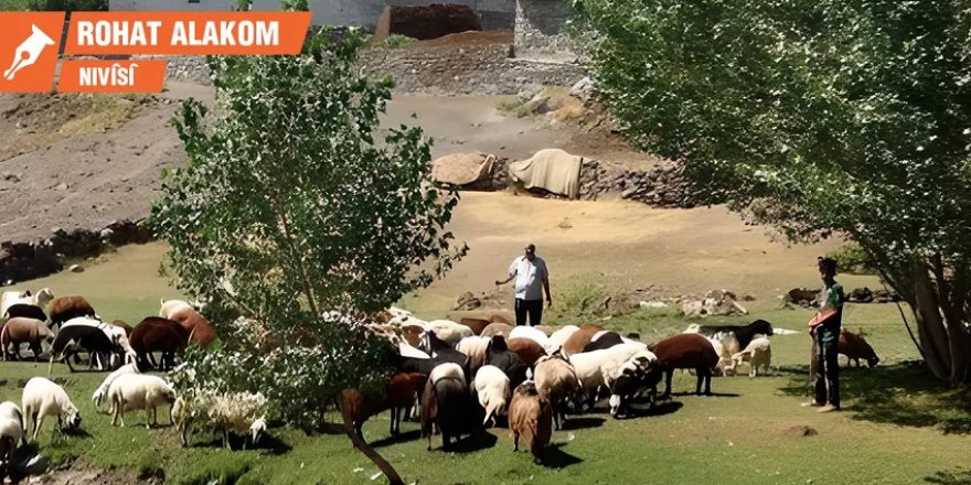 Ji Mevrekê heta Şîkagoyê: Serpêhatiya du Seyadan