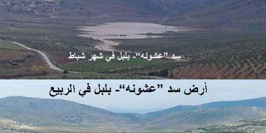 Efrîn di bin dagîrkeriyê de (215)