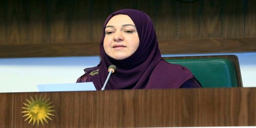 Fayeq: Me bi Serok Barzanî re li ser nivîsandina destûra Herêma Kurdistanê li hev kir