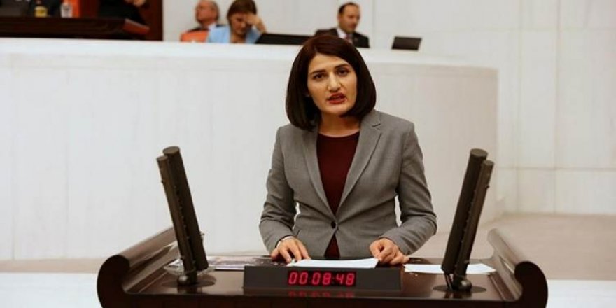 Parlamenteriya Semra Guzel hat hilweşandin