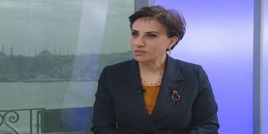 Mafnas Pinar Hacibektaşoglu: Mamoste dayîka min ji ber Kurdî ji dibistanê derxist