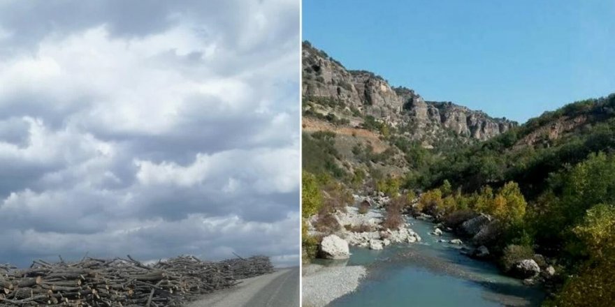 Li Geliyê Godernê bi hinceta “ewlehiyê” daran dibirin