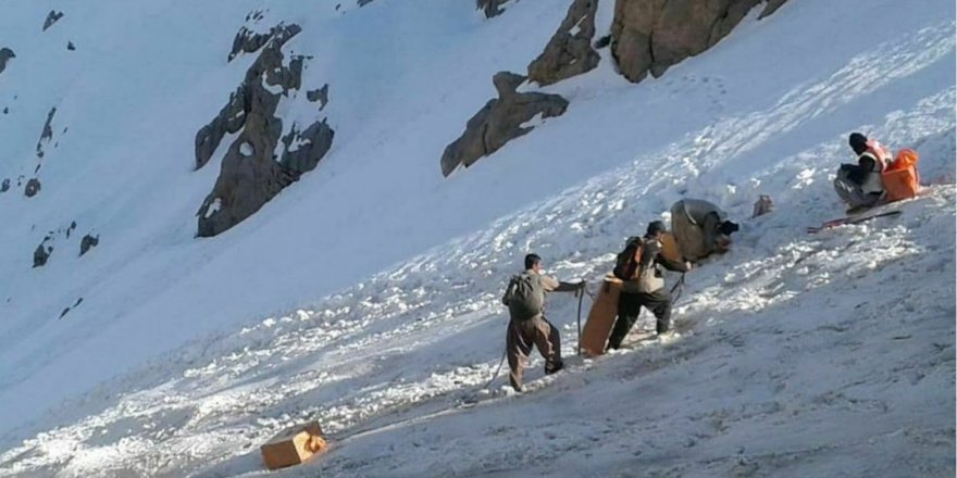 Sê kolber bi guleyên hêzên ewlehiya Îranê birîndar bûn