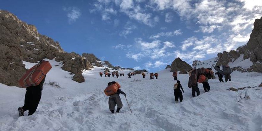 Di salekê de 39 kolber hatine kuştin û 356 kes jî birîndar bûne