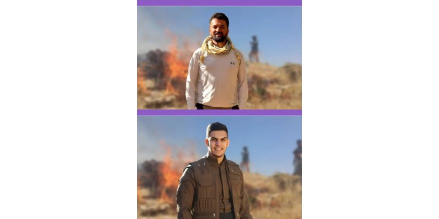 2 aktivîstên din jî ji ber şewata li çiyayê Aviyerê yê Sineyê can da