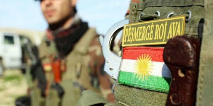 ENKS dixwaze Pêşmergeyên Roj jî entegreyî Hêzên Parastina Sûriyê bibin