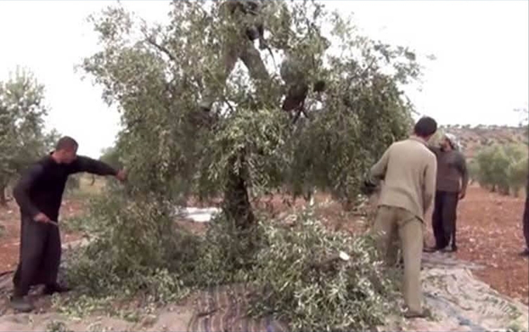 Komên çekdar li Efrînê dest datînin ser dikanên pîşesaziyê