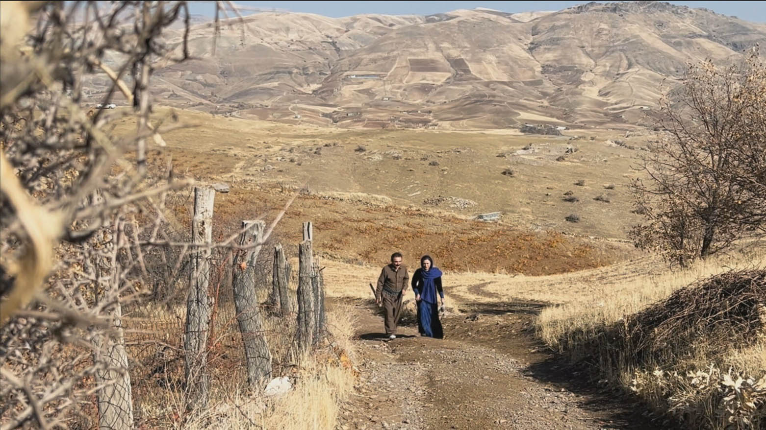 Jin û mêrek li şûna kirîna zêran, 2725 daran li çiyayên Kurdistanê diçînin