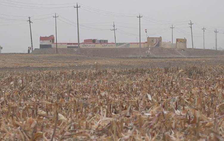 Şertê Artêşa Îraqê ji bo cotkaran: Pêşî li 'zêdegaviyê' mukir werin, paşê garis biçinin
