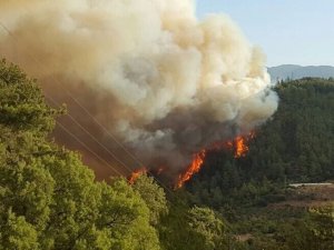 Ordiya tirk li Licê daristanan dişewitîne