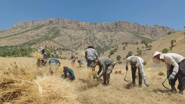 Wezareta Çandiniyê: Bexda bi wekhev li cotkarên Kurdistan û Iraqê nanêre