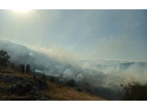 Tirkiyê û çekdarên wê agir berdan ser daristanên Efrînê