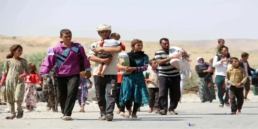 Wezareta Koçê ya Îraqê: 49 hezar malbatên Şingalî hîn jî venegeriyan malên xwe
