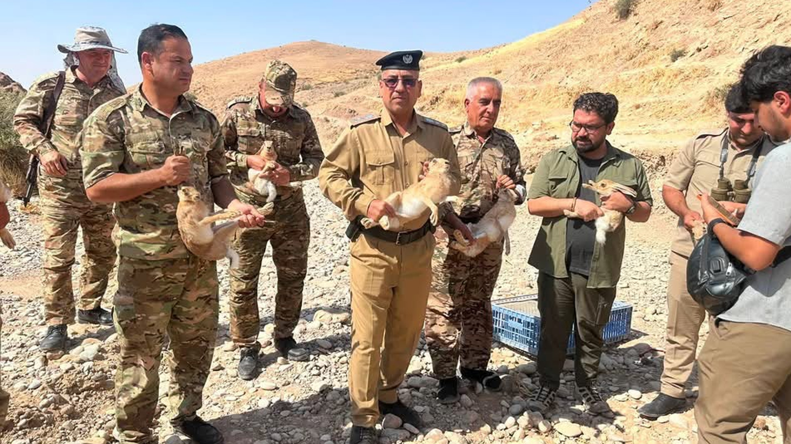 Li Germiyanê 158 nêçîrvan hatin darizandin