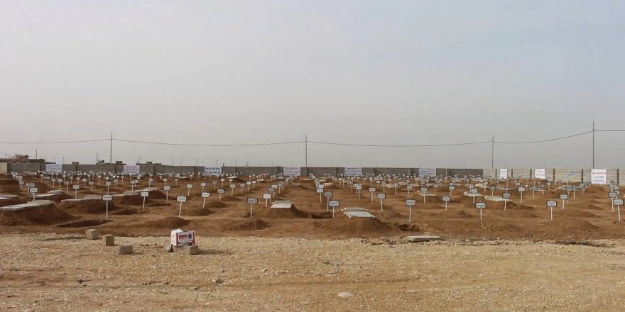 Li Şingalê gora bikom a 67 Kurdên Êzidî tê vekirin