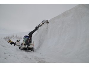 Bakur, li dijî zivistanê têdikoşe