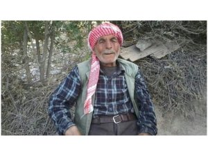Efrîn/ Çekdaran pîremêrekî 80 salî kuşt!