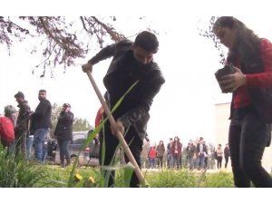 Rewşenbîrên Cizîrê darên zeytûnê ji bo Efrînê diçînin