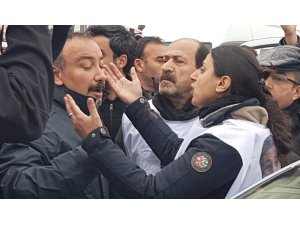 Li Amedê, dorpêça Leyla Guvenê