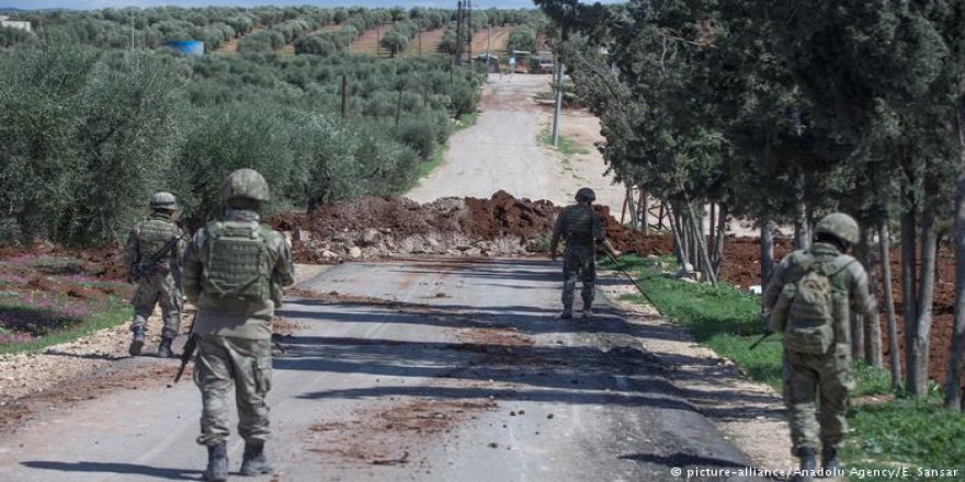 Tirkîyê îsal 13 hezar Ton zeyta Efrînê firotîye