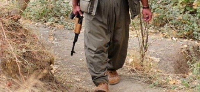 PKK Serokê Baskê Ciwanên AKPê yê Elkê kuşt!
