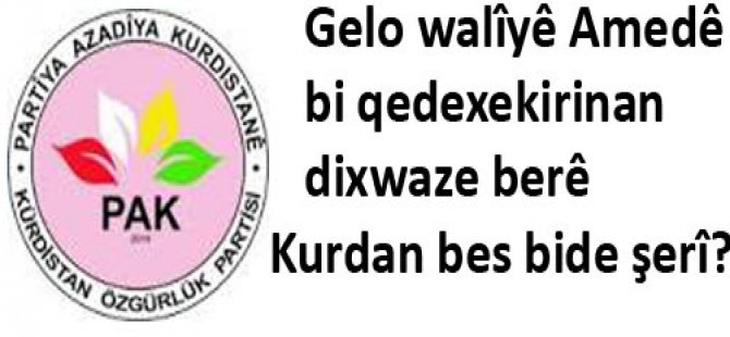 Gelo Walîyê Amedê  bi qedexekirinan dixwaze berê Kurdan bes bide şerî?