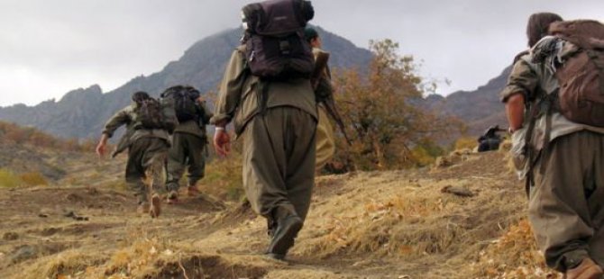 61 Kesayet; Ji PKKê re:Şerî bisekînin! /Ji dewletê re:Gav bavêje!