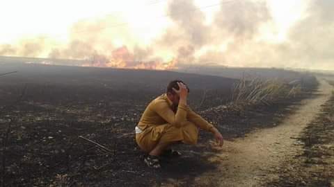 Li Rojavayê Kurdistanê bi dehan zevîyên gundan şewitî!