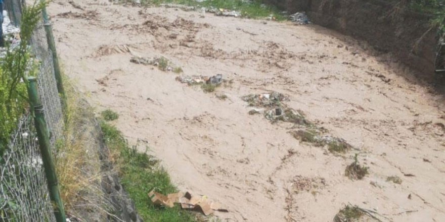 Giyadîn de rîyê laserî ra 4 kesan cuya xo vînî kerde