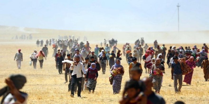 Nûtirîn amara qurbanî û rizgarbûyên Êzidî hat ragihandin