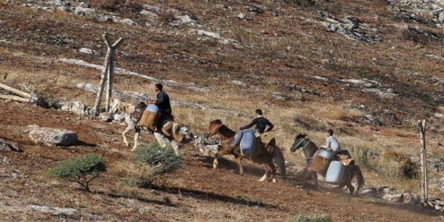 Li Colemêrgê kolberekî 14 salî hat kuştin