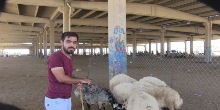 Li Rihayê kes qurbanan nakire