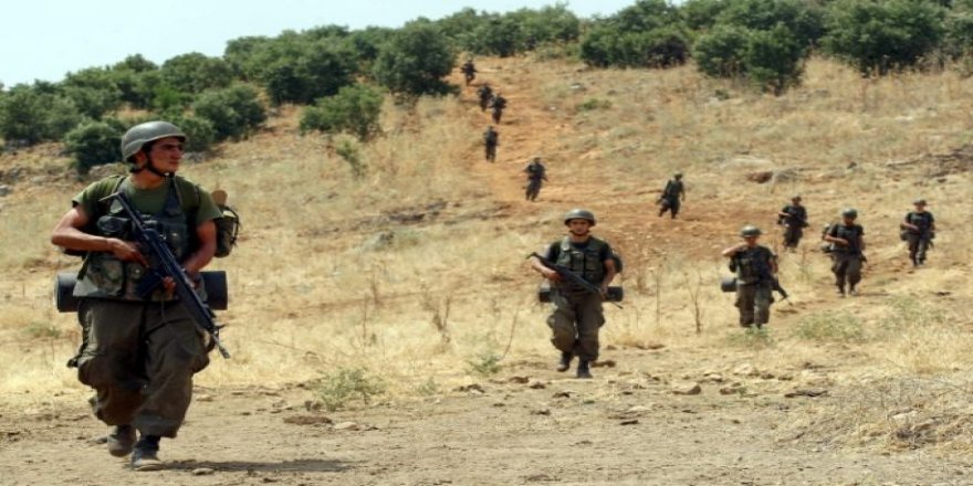 Tirkiyê kuştina 2 berpirsên TAK û PKKê ragihand