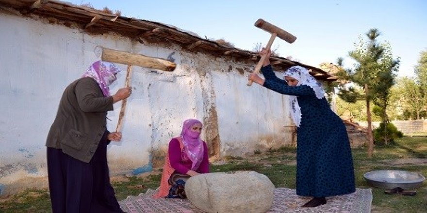 Li Mûşê kevneşopa kutana genim