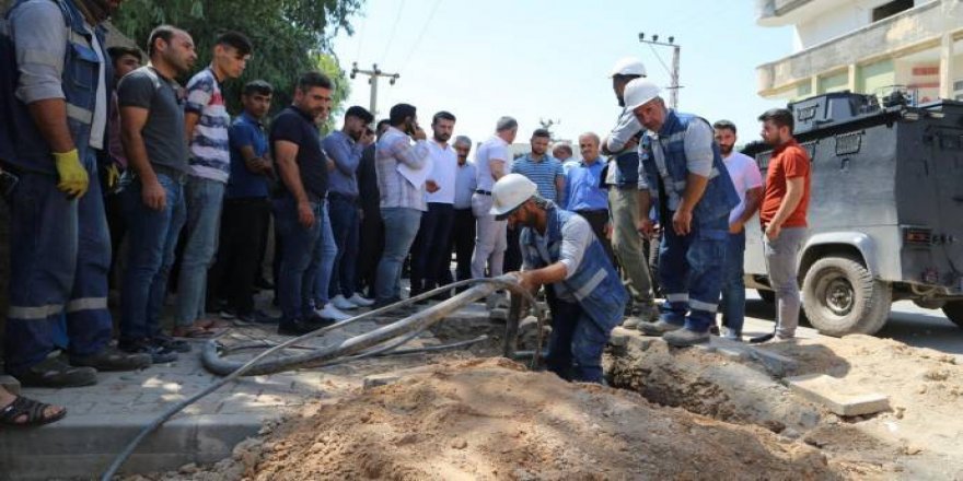 Dedaş, Bi Awayekî 'Qaçax' Kuçe Û Kolanan Dikole