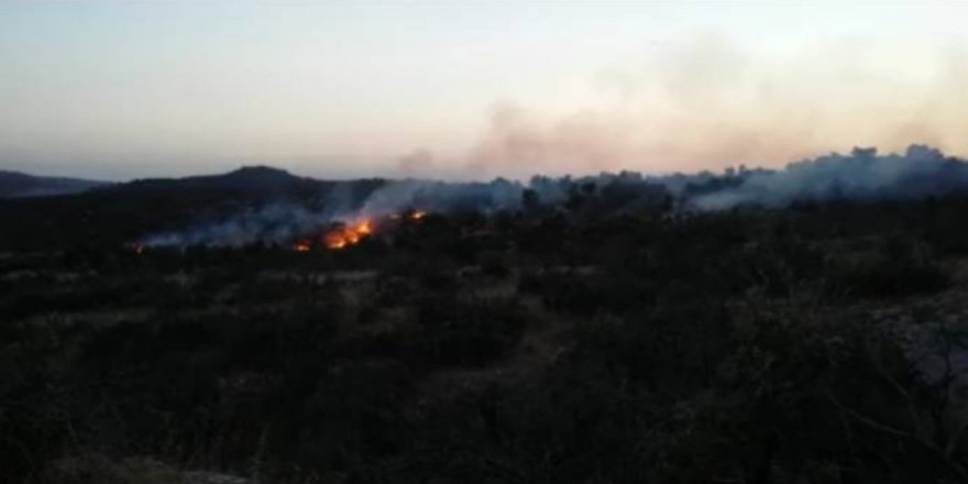 Pasûr de rîyê eskeran ra şewat vecîya