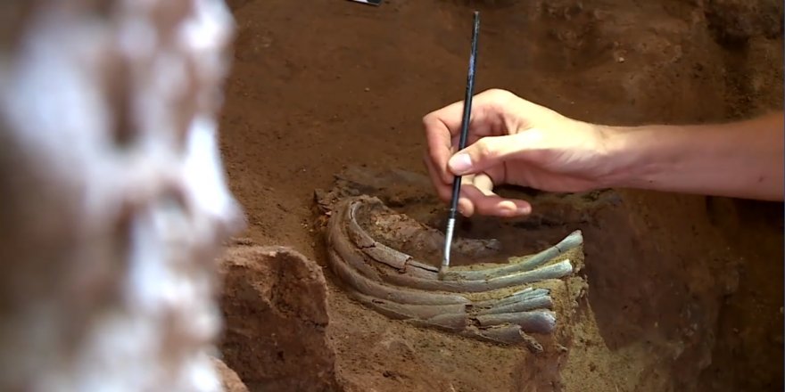 Li Şikefta Şanederê Mirovê Neandertal Hat Dîtin