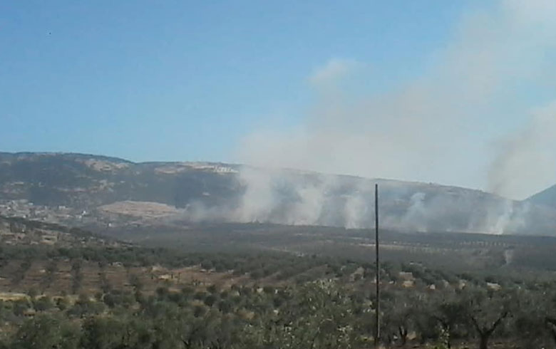 Li Efrînê Darên Zeytûnan Tên Şewitandin