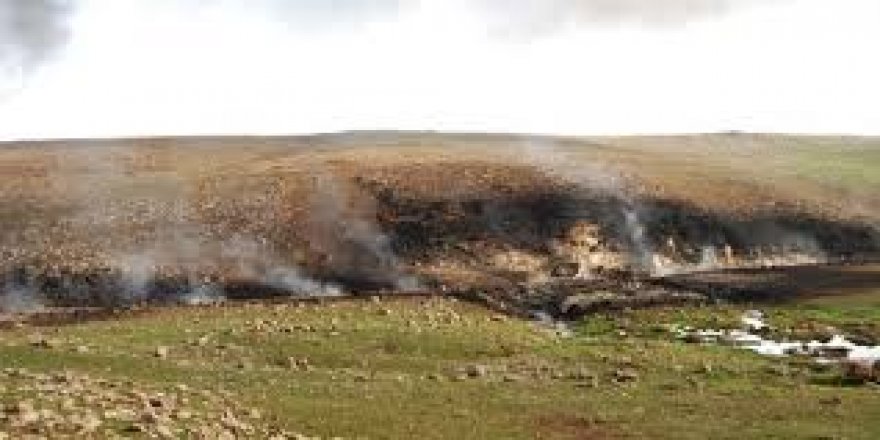 Dewê Amedîye ameyî bombardûman kerdiş