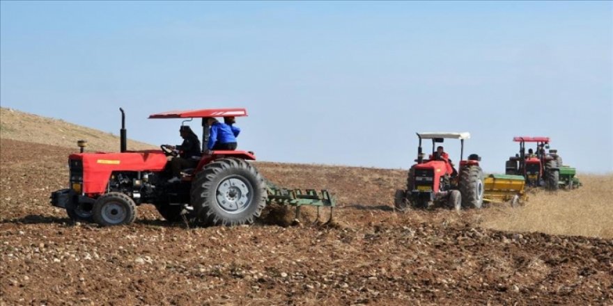 Berpirsekî kurd: Li Kerkûkê bi hezaran donim zevîyên kurdan dane ereban!