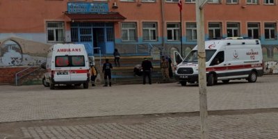 Pîran de 36 wendekarî werdî ra jehr kewtî