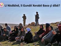 Li Nisêbînê, li Gundê Xerabê Bava çi dibê?