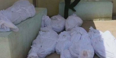 Kerbela: Camêrdêk 4 domanê xo vêşnayî