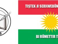 Êdî ne dûre alaya Kurdistanê di nav alayên NY de pêl bide