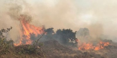 Çewlîg de şewatê daristanî vila beno