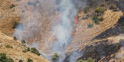 Dêrsim de şewatê daristanî dewam keno