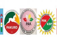 "Ew ê dîsa wekî wê carê be!"